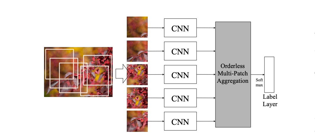 dma-net