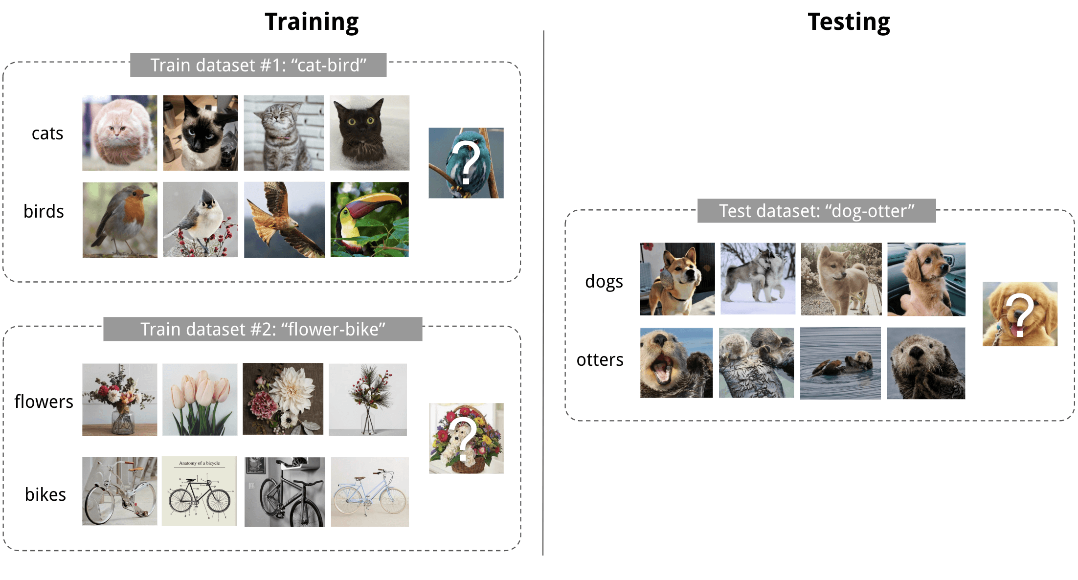 few shot classification