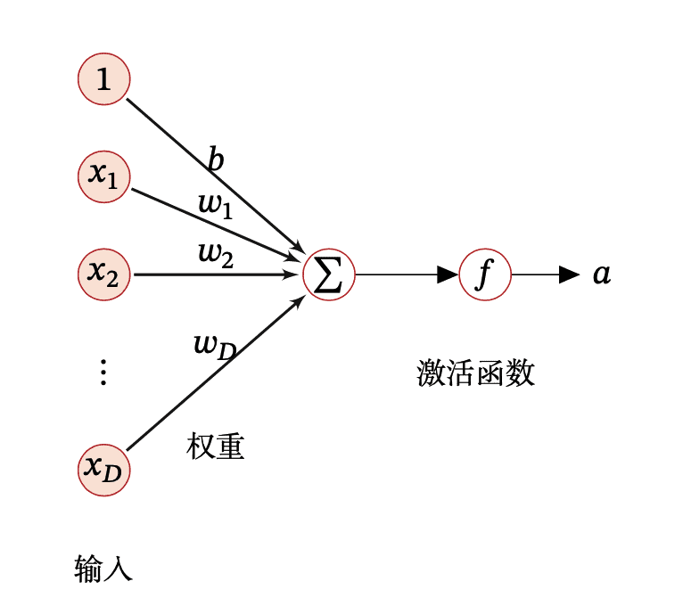 neuron